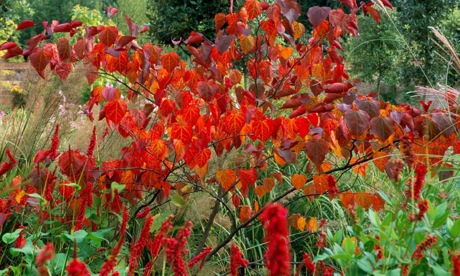 L’entretien d’un jardin