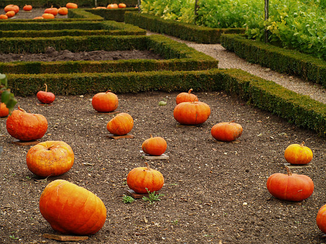 The faux potager
