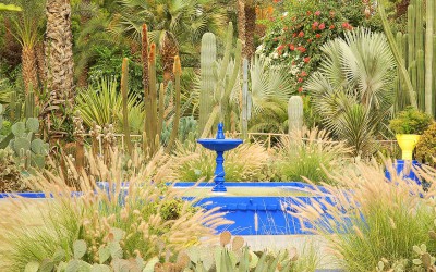 Majorelle Garden